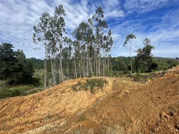 Sitio en Venta en Cerca de Carahue, ruta T-210