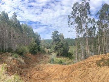 Sitio en Venta en Cerca de Carahue, ruta T-210