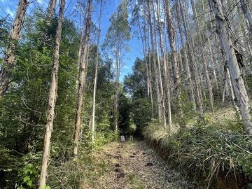 Agrícola en Venta en Cerca de Carahue, ruta T-210