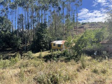 Agrícola en Venta en Cerca de Carahue, ruta T-210