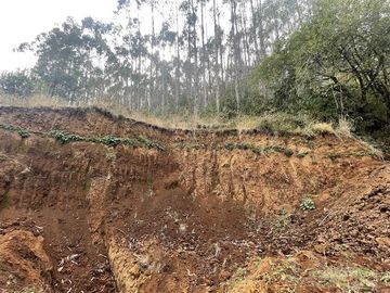 Agrícola en Venta en Cerca de Carahue, ruta T-210