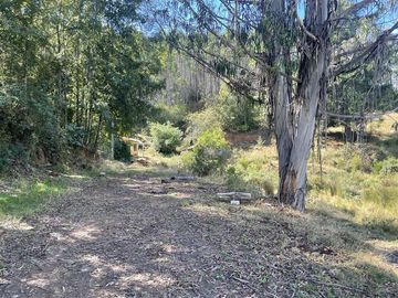 Agrícola en Venta en Cerca de Carahue, ruta T-210