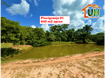 00607 - VENTA TERRENO RURAL CAMPO VERDE - 107 HA