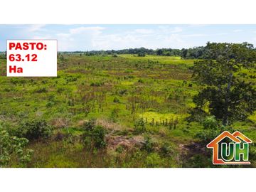 00607 - VENTA TERRENO RURAL CAMPO VERDE - 107 HA