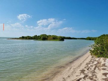 Vendo terreno frente mar en celestun( Yucatán)