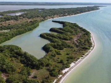 Vendo terreno frente mar en celestun( Yucatán)