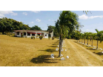 VENTA DE FINCA EN RO HATO, ANTÓN ÚNICA OPORTUNIDAD