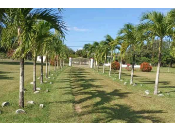 VENTA DE FINCA EN RO HATO, ANTÓN ÚNICA OPORTUNIDAD