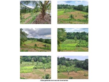 Se VENDE Terreno y Edificio en Paso Canoa, Provincia de Chiriquí