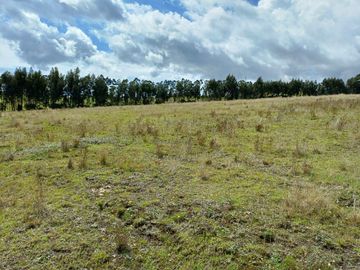 OPORTUNIDAD TERRENO EN VENTA 27 HECTAREAS TABACUNDO