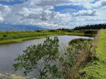 OPORTUNIDAD TERRENO EN VENTA 27 HECTAREAS TABACUNDO