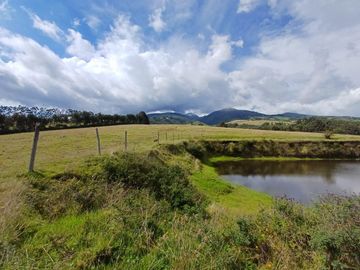 OPORTUNIDAD TERRENO EN VENTA 27 HECTAREAS TABACUNDO