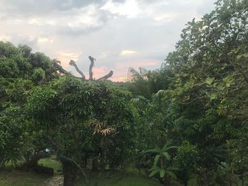 VENTA de FINCAS en MESITAS