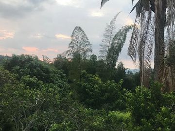 VENTA de FINCAS en MESITAS