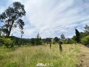 VENTA de FINCAS en NEUSA
