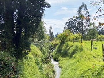 VENTA de FINCAS en NEUSA