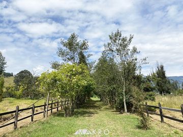 VENTA de FINCAS en NEUSA