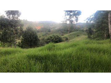 VENDO FINCA EN RIONEGRO SAN LUIS 45 CUADRAS X $ 90 MIL EL METRO CH