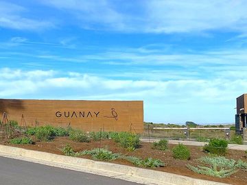 GUANAY