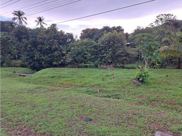 VENTA DE FINCA EN SAJALICES, CHAME PARA NEGOCIO, OPORTUNIDAD ÚNICA