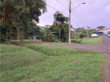 VENTA DE FINCA EN SAJALICES, CHAME PARA NEGOCIO, OPORTUNIDAD ÚNICA