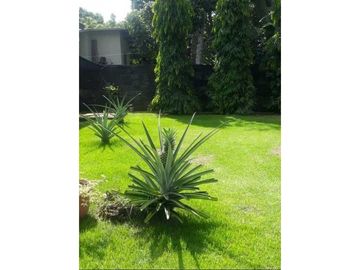 VENDO CASA CON PISCINA EN LOS ALGARROBOS