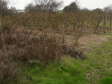 Sitio en Venta en club de polo