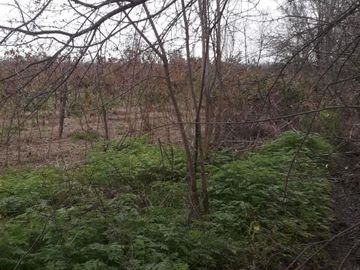 Sitio en Venta en club de polo