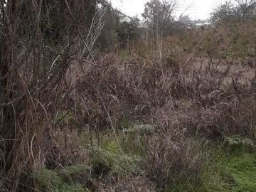 Sitio en Venta en club de polo