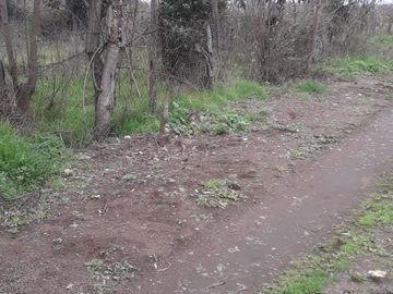 Sitio en Venta en club de polo
