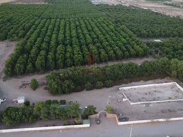 Nogalera Venta Fracc. Labor Principal 31,000,000 CESMOR RAO