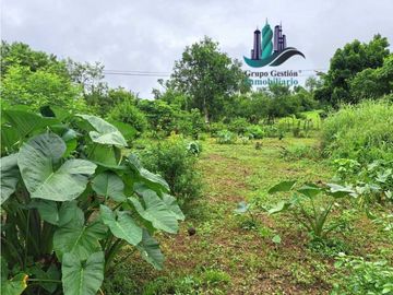 VENDO CASA CON 1HECTAREA FRONTERA