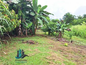 VENDO CASA CON 1HECTAREA FRONTERA