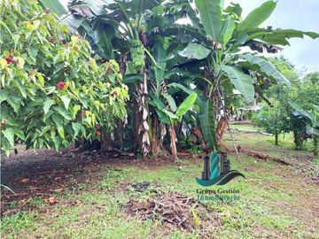 VENDO CASA CON 1HECTAREA FRONTERA