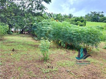 VENDO CASA CON 1HECTAREA FRONTERA