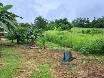 VENDO CASA CON 1HECTAREA FRONTERA