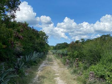 EN VENTA TERRENO RESIDENCIAL URBANIZADO CON AMENIDADES, MÉRIDA. YUCATÁN, HUNUCMÁ