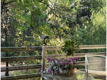 Departamento en Renta en Polanco, Miguel Hidalgo, CDMX
