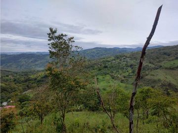 VENDO LOTE CON APARTAESTUDIO NUEVO EN YARUMAL ANTIOQUIA