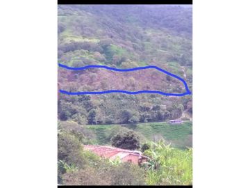 VENDO LOTE CON APARTAESTUDIO NUEVO EN YARUMAL ANTIOQUIA