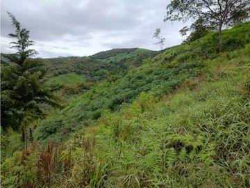 VENDO LOTE CON APARTAESTUDIO NUEVO EN YARUMAL ANTIOQUIA