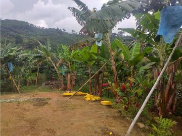 FINCA TECNIFICADA EN ALTAGRACIA