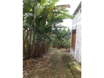 FINCA TECNIFICADA EN ALTAGRACIA