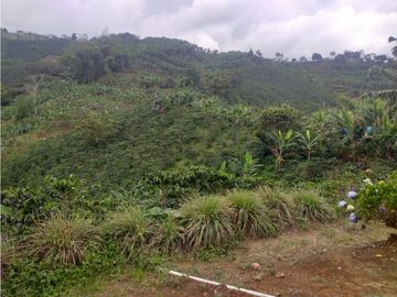 FINCA TECNIFICADA EN ALTAGRACIA