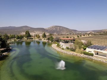 Lote Toscana en venta, Viñedo San Miguel, San Miguel de Allende