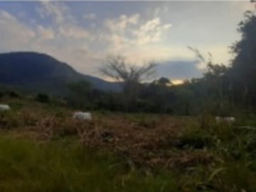 Rancho para ganadería a 45 km de Villaflores, Chiapas.