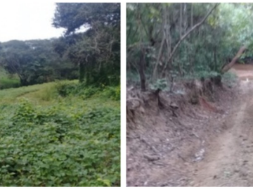 Rancho para ganadería a 45 km de Villaflores, Chiapas.