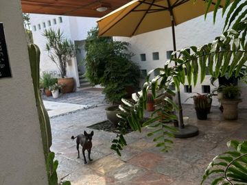 Casa en venta en Vista Hermosa, Cuernavaca, Morelos Casas y bienes raíces en venta en Cuernavaca, Morelos