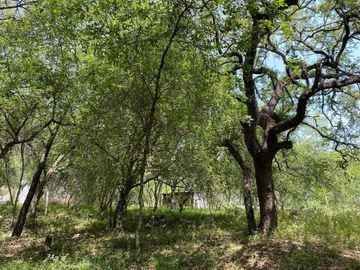 RANCHO EN VENTA LOS RAMONES