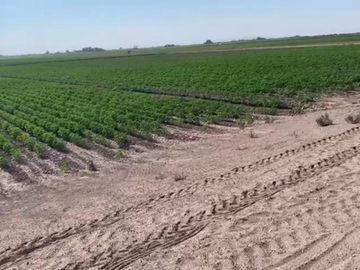 TERRENO EN VENTA EN EJIDO VEGA LARGA EN SAN PEDRO, COAHUILA